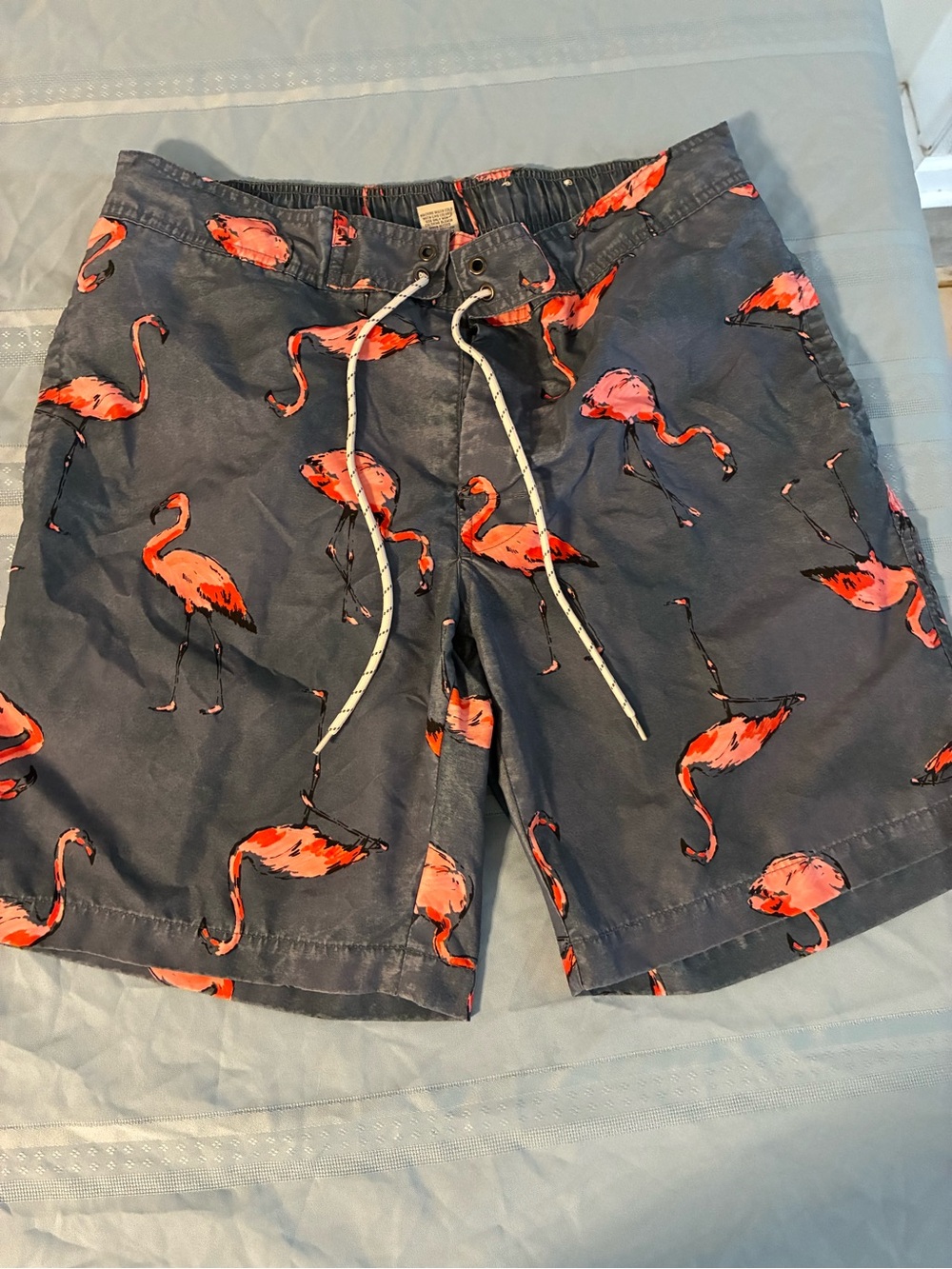 Men's Large Swim Trunks with Pink Flamingo Print